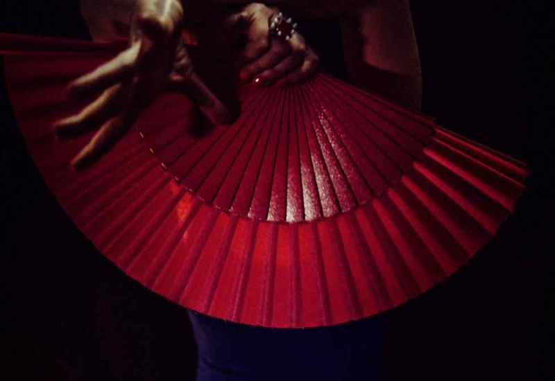 Flamenco e Danza: Tecniche e Movimenti